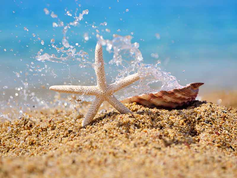4 – 18 luglio in B&B a Cattolica